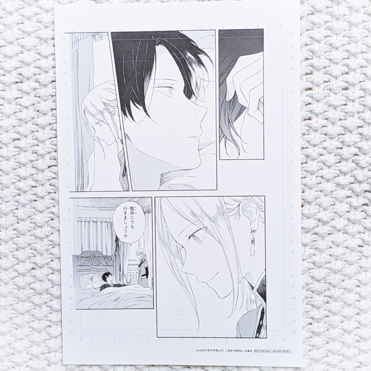 Kiki Seiran & Hisame - Snow White with the Red Hair Manga Panel Reproduction Art Print