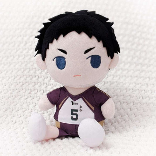 Keiji Akaashi Haikyuu To The Top Anime Kimi to Friends Plush