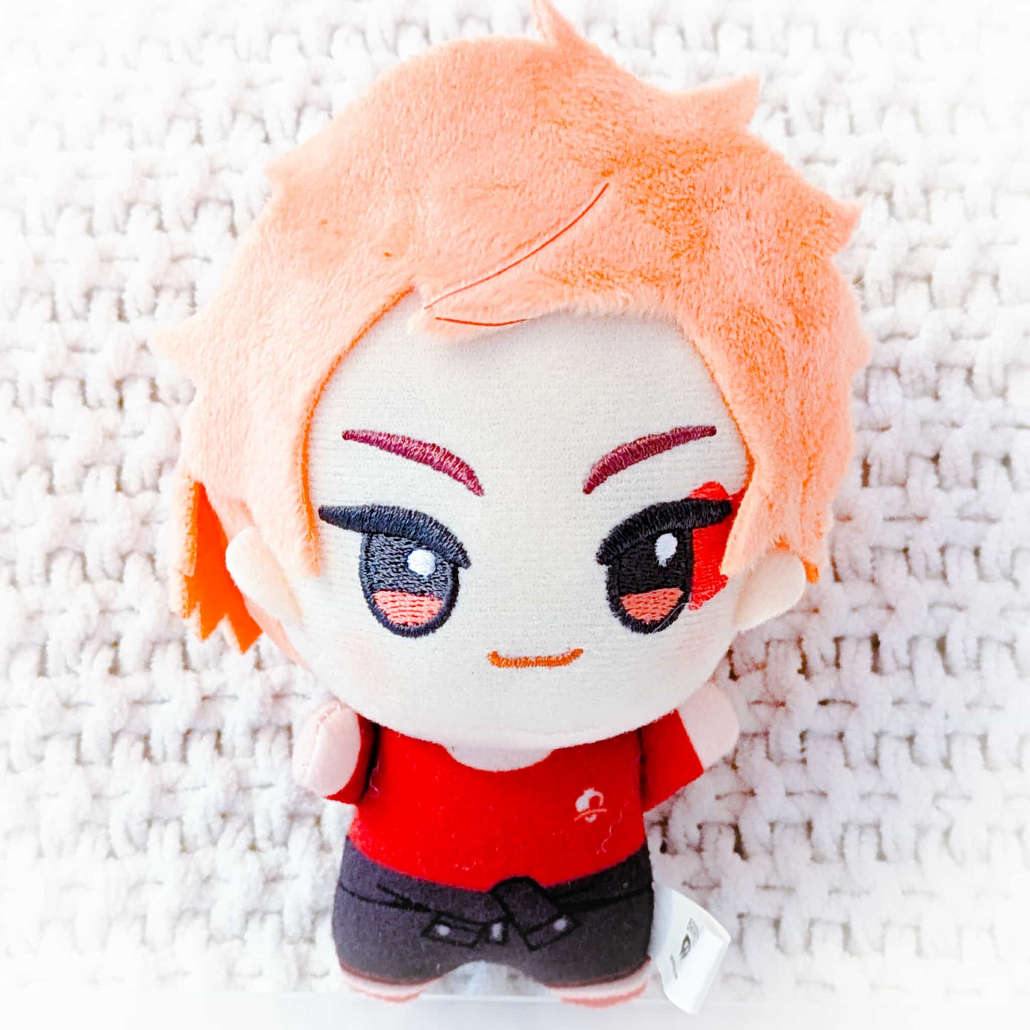 Ace Trappola - Disney's Twisted Wonderland Chibigurumi Mini Plush Mascot Keychain