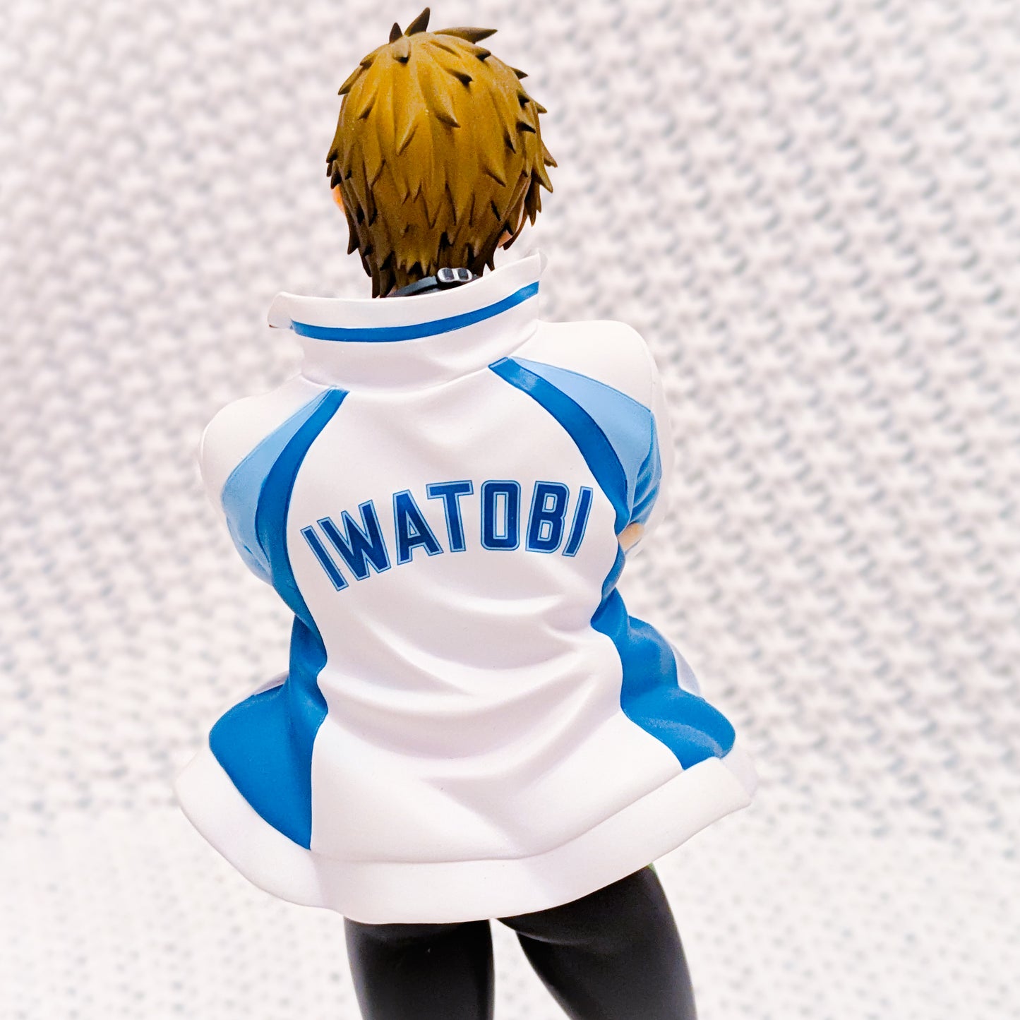Makoto Tachibana - Free! Iwatobi Swim Club Anime ALTAiR Alter 1/8 Figure