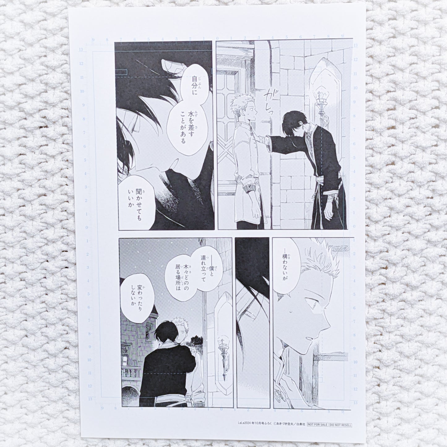 Mitsuhide Lowen & Hisame - Snow White with the Red Hair Manga Panel Reproduction Art Print